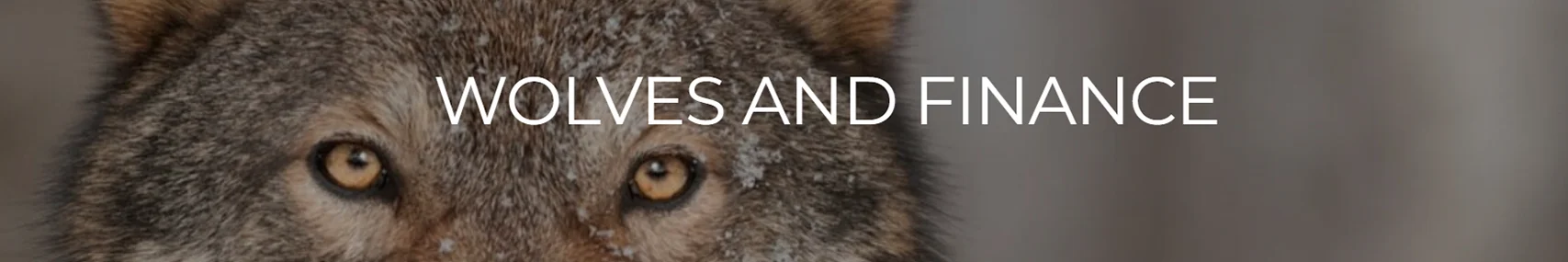 Banner wolvesandfinance