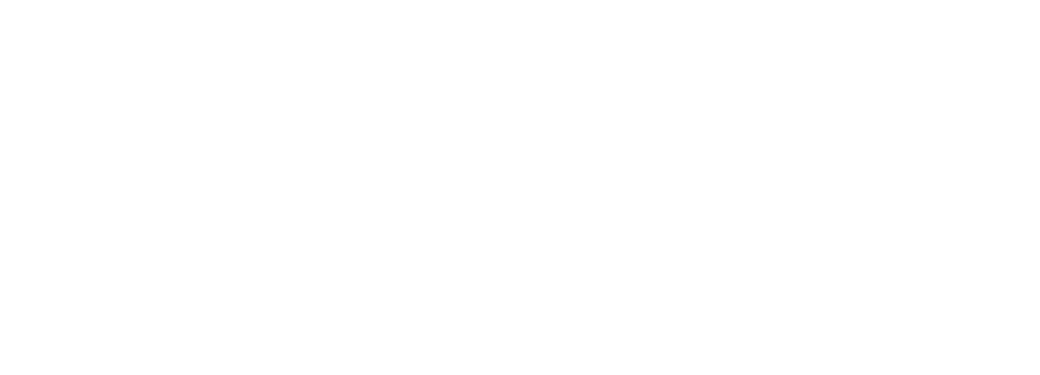 Mikeleaks logo solid white